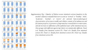 Supplementary Fig 1 Number of Ballan wrasse intestinal