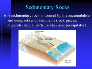 Sedimentary Rocks n A sedimentary rock is formed