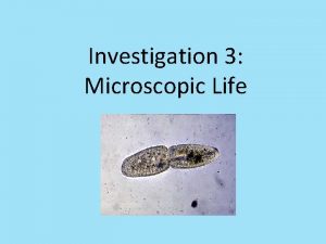 Investigation 3 Microscopic Life At the end of