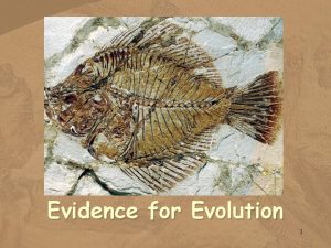 Evidence for Evolution 1 Evidence of common ancestry