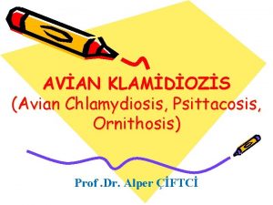 AVAN KLAMDOZS Avian Chlamydiosis Psittacosis Ornithosis Prof Dr