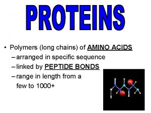 Polymers long chains of AMINO ACIDS arranged in