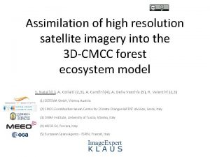 Assimilation of high resolution satellite imagery into the