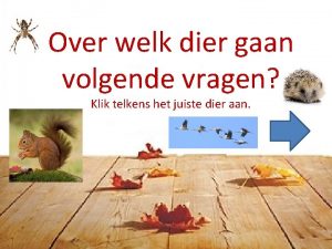 Over welk dier gaan volgende vragen Klik telkens