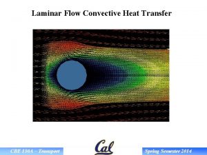 Laminar Flow Convective Heat Transfer CBE 150 A