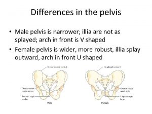 Differences in the pelvis Male pelvis is narrower