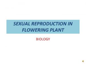 SEXUAL REPRODUCTION IN FLOWERING PLANT BIOLOGY TOPICS Seeds