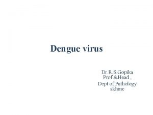 Dengue virus Dr R S Gopika Prof Head