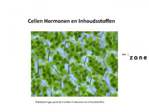 Cellen Hormonen en Inhoudsstoffen Plantfysiologie periode 3 Cellen