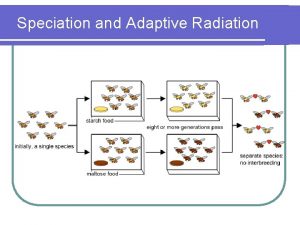 Speciation and Adaptive Radiation Speciation l Speciation is