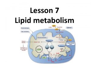 Lesson 7 Lipid metabolism Fatty Acid Oxidation oxidation