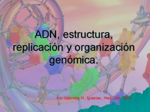 ADN estructura replicacin y organizacin genmica Por Gabriela