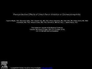 Renoprotective Effects of Direct Renin Inhibition in Glomerulonephritis