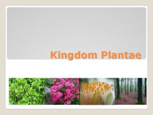 Kingdom Plantae All plants are multicellular Have a