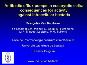 Antibiotic efflux pumps in eucaryotic cells consequences for