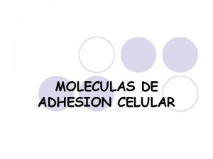 MOLECULAS DE ADHESION CELULAR Molculas mediadoras de Adhesin