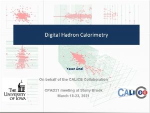Digital Hadron Calorimetry Yasar Onel On behalf of Digital Hadron Calorimetry Yasar Onel On behalf of