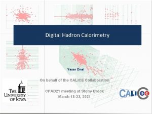 Digital Hadron Calorimetry Yasar Onel On behalf of