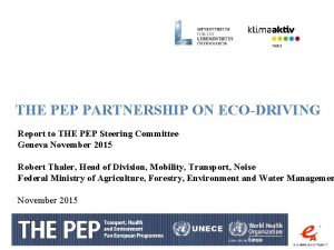 THE PEP PARTNERSHIP ON ECODRIVING Report to THE