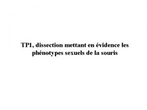 TP 1 dissection mettant en vidence les phnotypes