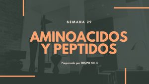 SEMANA 29 AMINOACIDOS Y PEPTIDOS Preparado por GRUPO