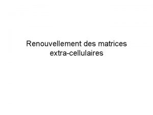 Renouvellement des matrices extracellulaires Composition des matrices Maladies