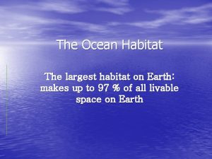 The Ocean Habitat The largest habitat on Earth