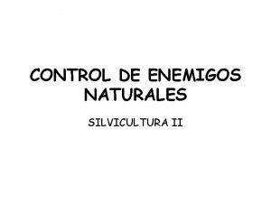 CONTROL DE ENEMIGOS NATURALES SILVICULTURA II INSECTOS DEL