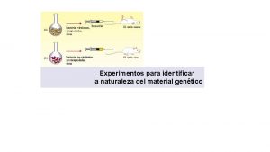 Experimentos para identificar la naturaleza del material gentico