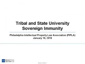 Tribal and State University Sovereign Immunity Philadelphia Intellectual