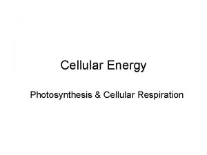 Cellular Energy Photosynthesis Cellular Respiration The Need for