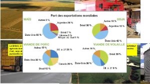 Le rle conomique des EtatsUnis et du Brsil