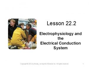 Lesson 22 2 Electrophysiology and the Electrical Conduction Lesson 22 2 Electrophysiology and the Electrical Conduction
