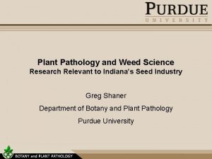 Plant Pathology and Weed Science Research Relevant to