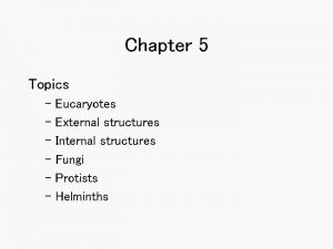 Chapter 5 Topics Eucaryotes External structures Internal structures