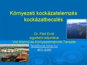 Krnyezeti kockzatelemzs kockzatbecsls Dr Fleit Ern egyetemi adjunktus