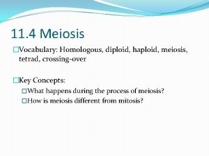 11 4 Meiosis Vocabulary Homologous diploid haploid meiosis