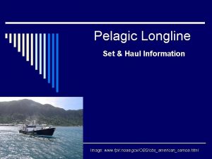 Pelagic Longline Set Haul Information Image www fpir