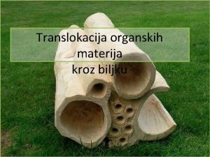 Translokacija organskih materija kroz biljku Kretanje supstanci kroz