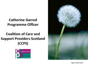 Catherine Garrod Programme Officer Coalition of Care and