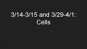 314 315 and 329 41 Cells 314 Today