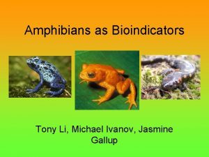 Amphibians as Bioindicators Tony Li Michael Ivanov Jasmine