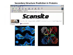 Secondary Structure Prediction in Proteins Why should secondary