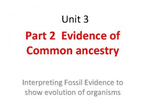 Unit 3 Part 2 Evidence of Common ancestry