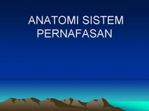 ANATOMI SISTEM PERNAFASAN ANATOMI SISTEM RESPIRASI HIDUNG FARYNX