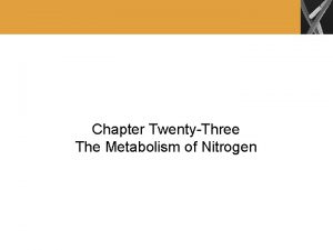 Chapter TwentyThree The Metabolism of Nitrogen Nitrogen Fixation