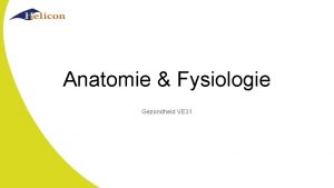 Anatomie Fysiologie Gezondheid VE 31 De onderwerpen o