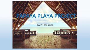 PAPAYA PLAYA PROJECT HEALTH CORRIDOR HOLSTICA by PPP