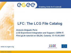 Enabling Grids for Escienc E LFC The LCG