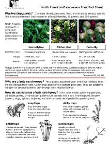 North American Carnivorous Plant Fact Sheet Flesheating plants